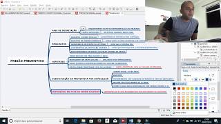 PRISÃO PREVENTIVA: MAPA MENTAL + CONSIDERAÇÕES