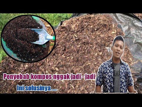 Video: Apakah tumpukan kompos saya akan terbakar?