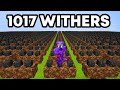 1017 withers vs minecraft smp