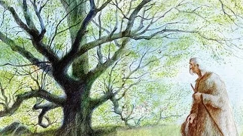 Человек, который сажал деревья.