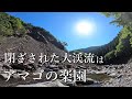 【激痛】分断された渓流を開拓するが、楽しすぎてお股に悲劇に起こる…【渓流釣り】