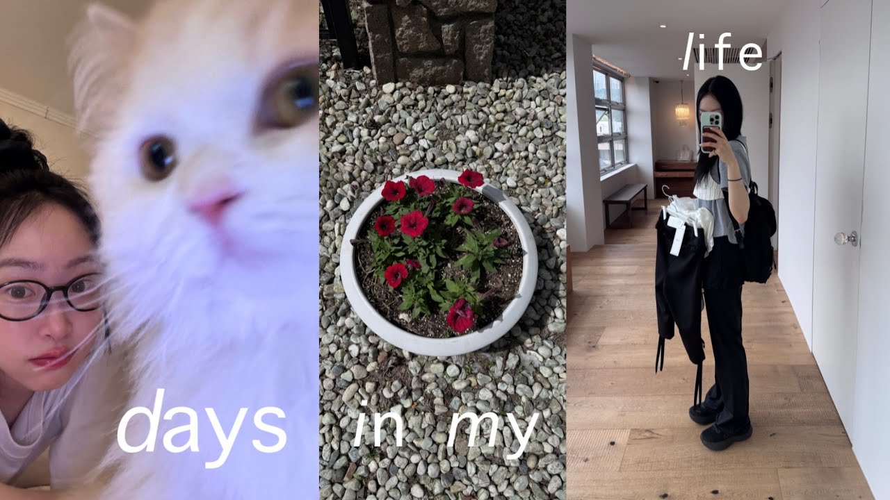 친구같은 가방 들고 학교 가는 5월의 어느날