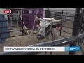 Buc Days Rodeo brings big excitement