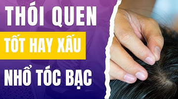 Tại sao không nên NHỔ TÓC TRẮNG, NHỔ TÓC BẠC?