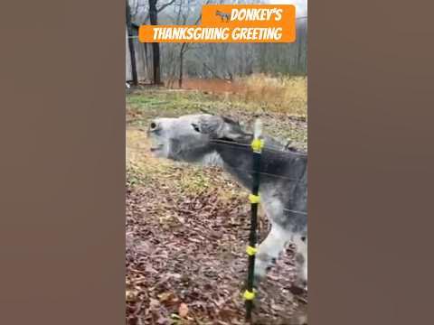 Thanksgiving make ahead freeze
