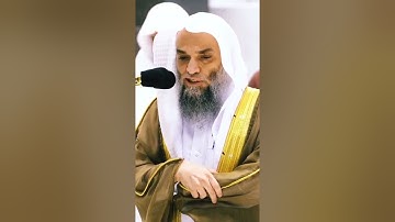 الشيخ فيصل غزاوي سورة التكاثر