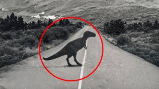 Extinct Animals Caught on Camera