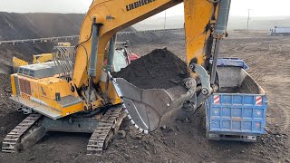 Liebherr 974 Excavator And Caterpillar 988F Wheel Loader Loading Coal On Trucks  Labrianidis Mining