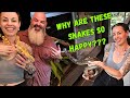 Incredible Setups For These Snakes!