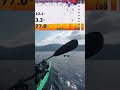 イルカにビビるおじさん | #kayakfishinggol (#Twitch)