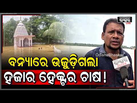 ବନ୍ୟା ପାଣିରେ ଭାସିଗଲା ଚାଷୀଙ୍କ ସ୍ୱପ୍ନ...ପାଣି ଘେରରେ ଗାଁ, ଭୋକରେ ଗୃହପାଳିତ ପଶୁ!