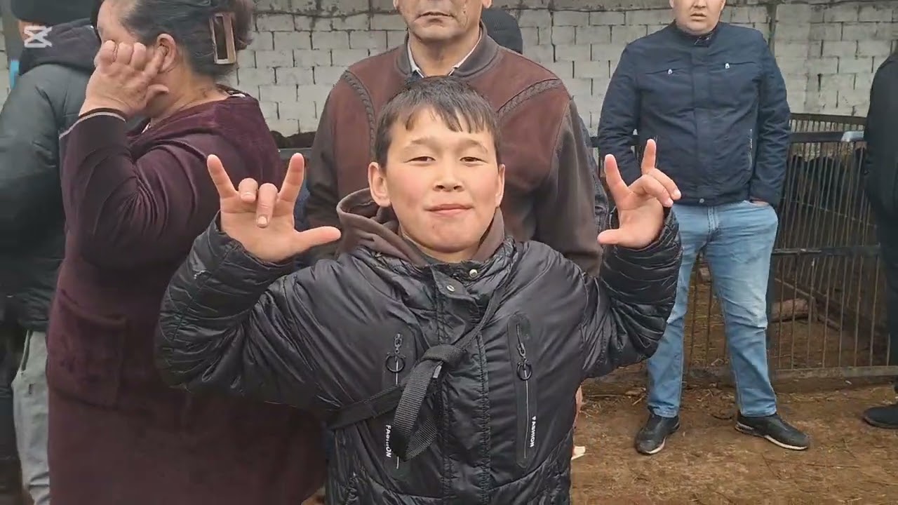 03.03.2026.Сарыағаш мал базары.Саулық қойлар,қозылы қойларқошқарлар,тоқтылар,қозылар,ешкі,лақтар.🐏🐐🐑