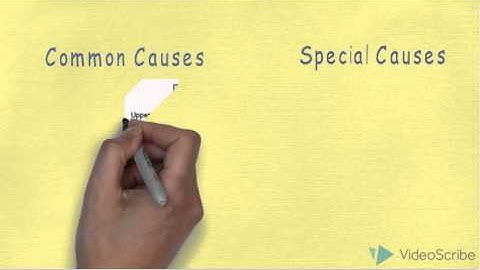 Diferrence between Common and Special causes - Six sigma
