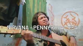 Nirvana - Pennyroyal Tea ( Accoustic Cover )