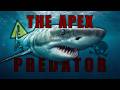 The Ocean’s Most Misunderstood Predator! 😱