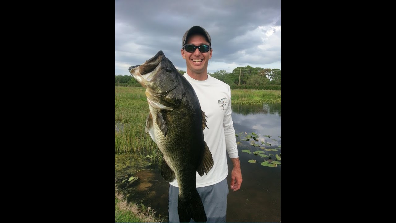Sarasota Florida Bass Fishing - YouTube