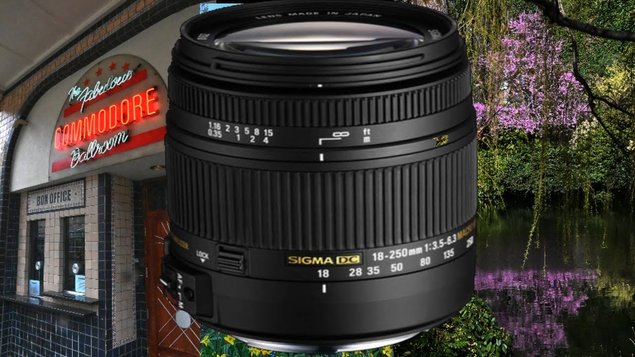 シグマ 18-250mm F3.5-6.3 DC OS HSM NA ニコン用 :20221118101914