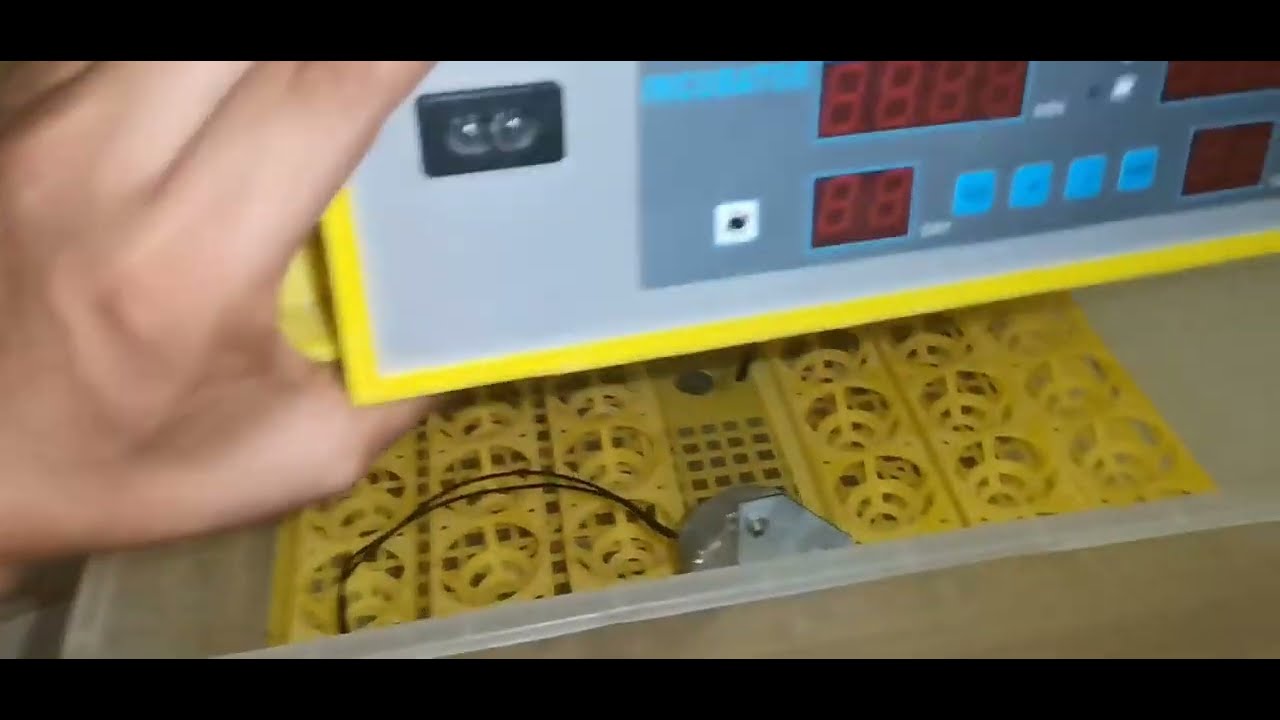 طريقة تشغيل الفقاسة الصينية +جدول درجة الحرارة و الرطوبة خلال التفقيس