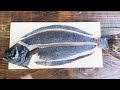 SUSHI CHEF FILLET SKILLS | In Depth Halibut/Flounder Fillet Tutorial