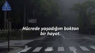 ezekiel — help_urself || türkçe çeviri Resimi