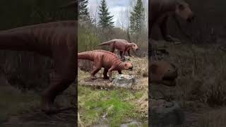 #dinosaur #jurassicpark #jurassicforest #summer #yeg #gibbons #kids