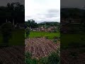 motivasi diri penuh arti #shorts #motivasi #motivasidiri #motivation #plog #trending #kampung