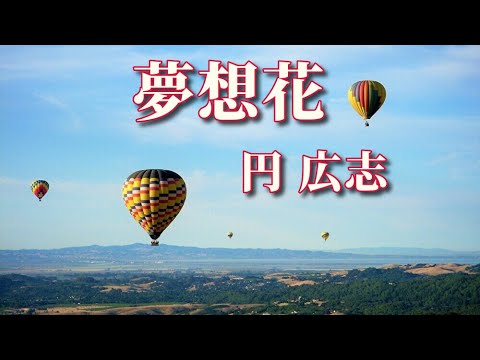 夢想花　円 広志　cover