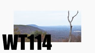 Walking And Talking #114