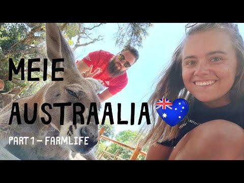 Video: Millised on Austraalia põhiseaduse peatükid?