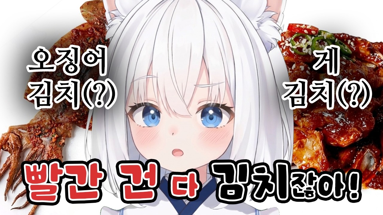 한국인 속 뒤집어 놓는 일본인의 김치 정의