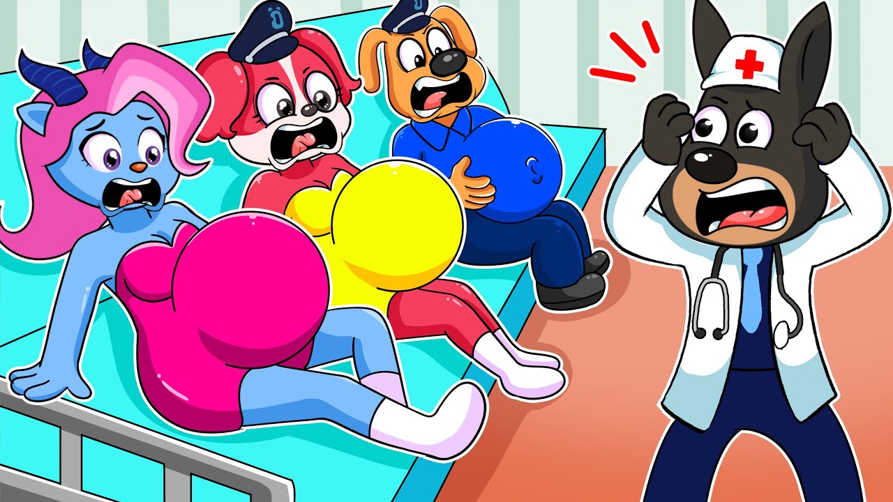 What Is Happening With The Pregnant Women?! Labrador Sad Story - Sheriff Labrador Animation