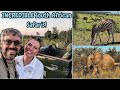 We did THREE INCREDIBLE SAFARIS in South Africa&#39;s Kruger National Park and Sabie Game Reserve!!