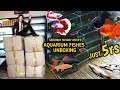 Friday saturday sunday offers  unboxing aquarium fishes ethu eduthalum offer price than 