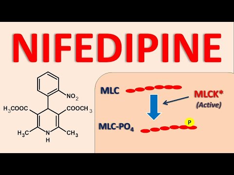 Nifedipine - Mechanism, side effects and uses