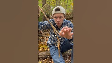 Crafting A Bow And Arrow From Scratch