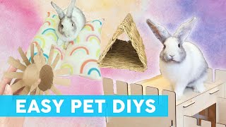 DIY Projects for My BUNNY  Small Pet Ideas (Sew + No Sew)