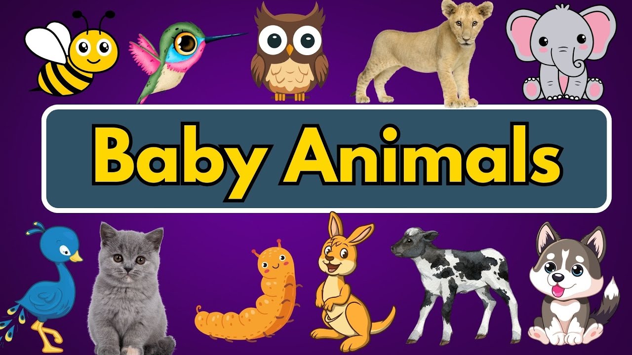 Baby Animal Names Animal And Their Babies vocabulary animals baby-animal-names-animal-and-their-babies-vocabulary-animals
