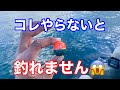 全遊動.半遊動沈め釣りする前に絶対すべき事【チヌフカセ釣り】