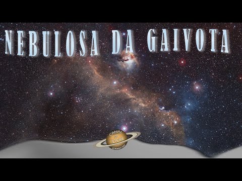 Nebulosa da Gaivota