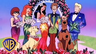 Scooby-Doo And The Alien Invaders | So Groovy 🌼 | @wbkids​ by WB Kids 57,519 views 4 weeks ago 3 minutes, 36 seconds