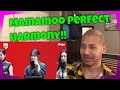 MAMAMOO's KILLING VOICE with perfect HARMONY/Egoistic, HIP, Dinga, AYAs (Reaction)