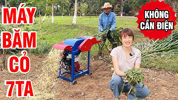 🔥🐄 Máy Băm Cỏ 7TA Chạy Xăng – Băm Cỏ, Rơm Khô 1Tấn/H, Không Cần Điện, Giá Siêu Rẻ!