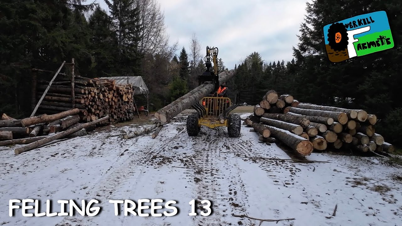 OF 70 FELLING TREES 13