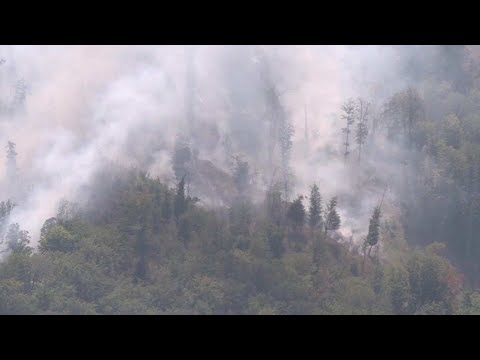 Пожарот во беровско се уште се гасне, досега опожарени 50 хектари дабова и букова шума