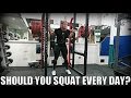 Should You Squat Every Day? Bulgarian Method Review