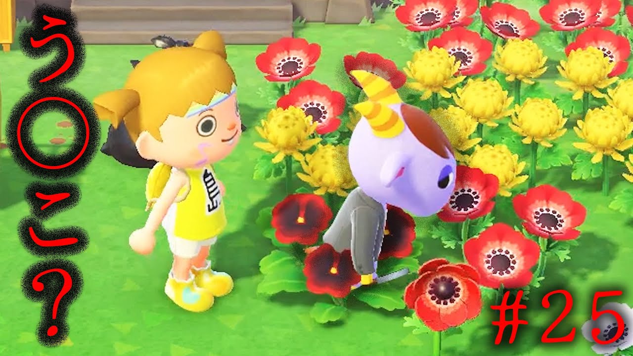 人んちの花壇でう○こするな【あつまれ どうぶつの森】#25