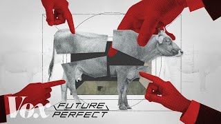 How 4 companies control the beef industry