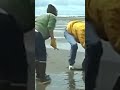 saved that seal #sohiphofun