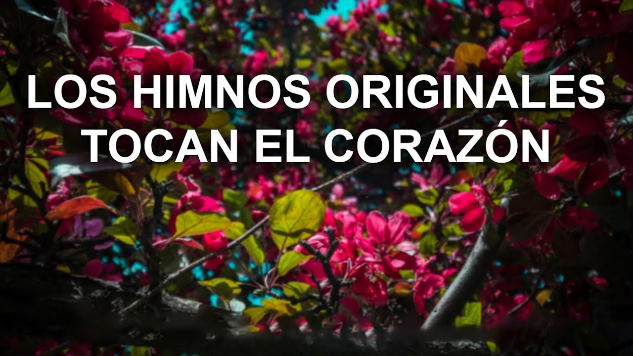 Los Mejores Himnos Originales de Alabanza | Música que Toca el Corazón