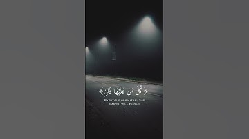 كل من عليها فانٍ ويبقى وجه ربك ذو الجلال والاكرام  ||  القارئ محمد هشام